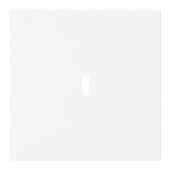 BJ Zentralscheibe USB C Power   6479-44M 