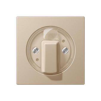 JG Abdeckung f. Drehschalter     A1541CH 