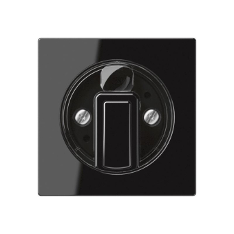 JG Abdeckung f. Drehschalter     A1541SW 