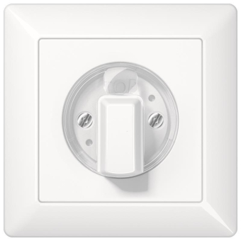 JG Abdeckung f. Drehschalter    AS1541WW 