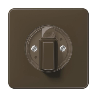 JG Abdeckung f. Drehschalter    CD1541BR 