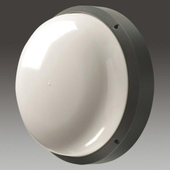 ZUM Wandleuchte LED             96665910 