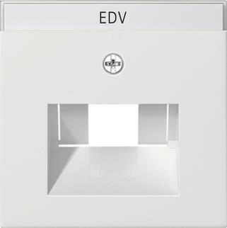 GIRA 028427 Abdeckung+ BSF UAE/IAE+ 