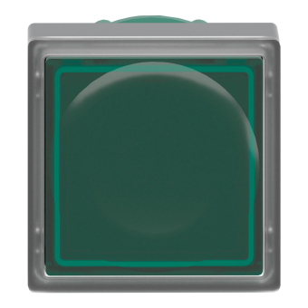 GS Leuchttaster flach           ZB5CW333 