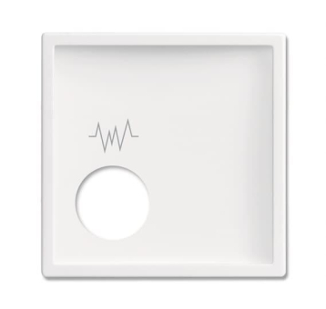 BJ Zentralscheibe          2548-020 F-84 