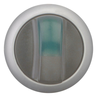 EATON M22-WRLK3-G Leuchtwahltaste 216847 