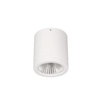 LTS Aufbaudownlight Button Mini weiss 