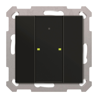 MDT BE-TA55P206.02 Taster Plus 55 2fach 