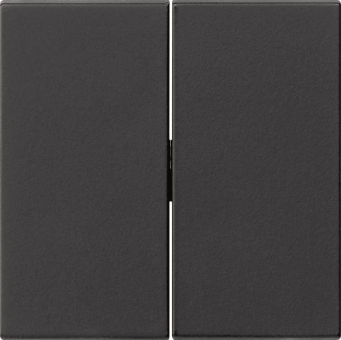 GIRA 0915005 Wippe 2fach Tastschalter 