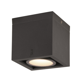 SLV ESKINA FRAME CL single       1006316 