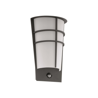EGLO Wand und Deckenleuchte        96018 