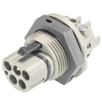 Wieland            RST25i5S6S1 M01V GR03 