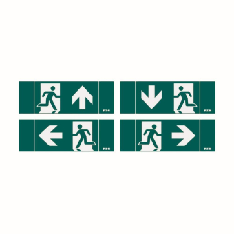 CEAG FT1 EW, 4 Piktogramme        FT1-4I 