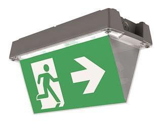 CEAG Atlantic LED D CGLine+  40071354871 