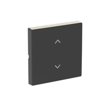 BJ Wippe 1-fach m.Symbol     6735-11-885 