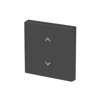BJ Wippe 1-fach m.Symbol     6735-11-885 