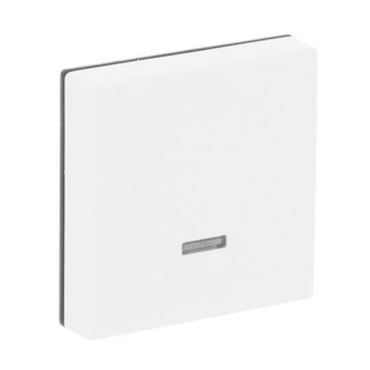 BJ Bedienelement Tastdimmer 6543-884-101 