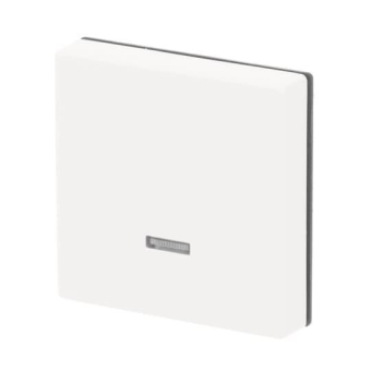 BJ Bedienelement Tastdimmer 6543-884-101 