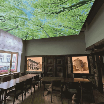 DOTLUX Motivplatte SKYLIGHT M01-01010620 