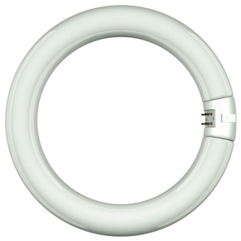 SUH Leuchtstofflampe Ringform      68326 
