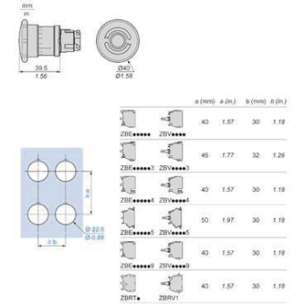 GS PILZDRUCKTASTER RAST D=40     ZB4BS55 
