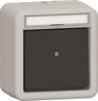 GIRA 315631 Wipptaster Wechsler BSF 