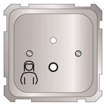 ELSO Zentralplatte                735894 