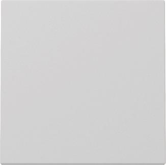 GIRA 3296015 Wippe System 55 