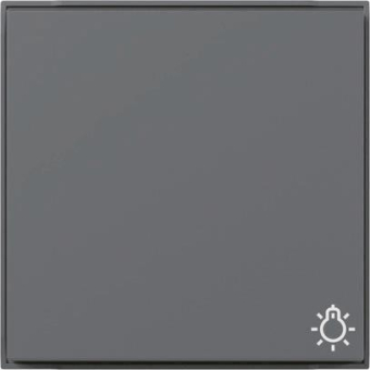 GIRA 328567 Wippe Symbol Licht TX_44 