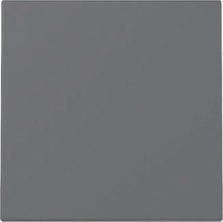 GIRA 329628 Wippe System 55 Anthrazit 