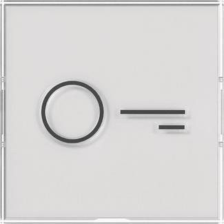 GIRA 321800 Wippe BSF+Symbol Tür groß 