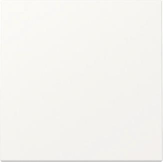 GIRA 329627 Wippe System 55 