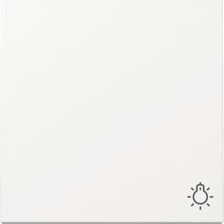 GIRA 328503 Wippe Symbol Licht System 55 