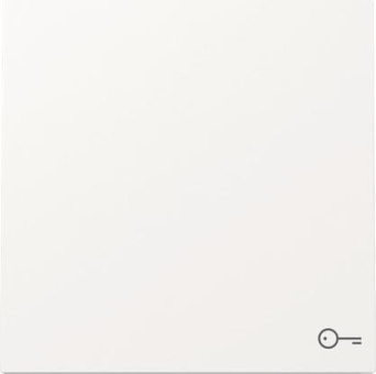 GIRA 328770 Wippe Symb.Tür 