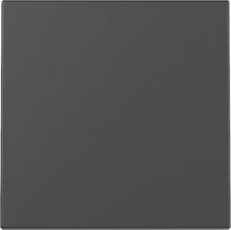 GIRA 3296005 Wippe System 55 