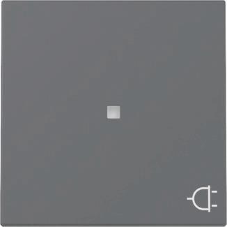 GIRA 329128 Wippe Kontrollfenster+Symbol 