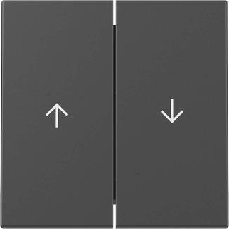 GIRA 3294005 Wippe 2fach Pfeil System 55 