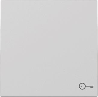 GIRA 3287015 Wippe Symbol Tür System 55 