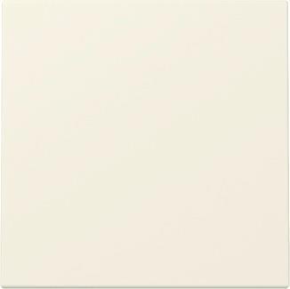 GIRA 329601 Wippe System 55 