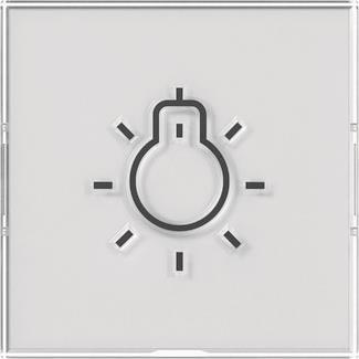 GIRA 321600 Wippe+BSF+Symbol Licht groß 