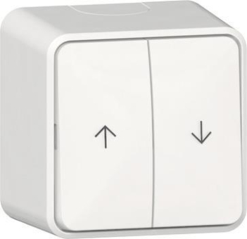 GIRA 315913 Wipp-Jalousieschalter Pfeile 