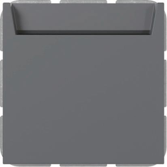 GIRA 314028 Hotel-CardS+N-Kl.System 55 