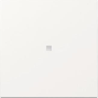 GIRA 329003 Wippe Kontrollfenster 