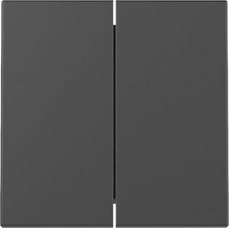 GIRA 3295005 Wippe 2fach System 55 