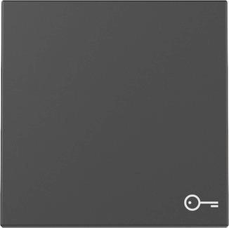 GIRA 3287005 Wippe Symbol Tür System 55 