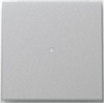 GIRA 329065 Wippe Kontrollfenster TX_44 