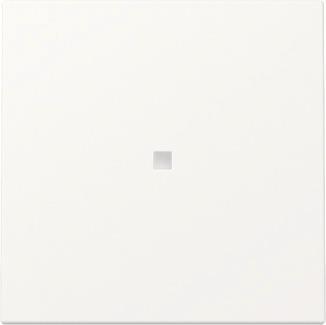 GIRA 329027 Wippe Kontrollfenster 