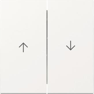 GIRA 329403 Wippe 2fach Pfeil System 55 