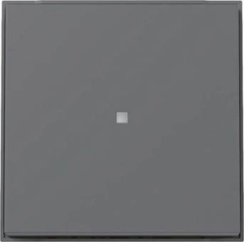 GIRA 329067 Wippe Kontrollfenster TX_44 