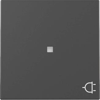 GIRA 3291005 Wippe Kontrollfenster+Symb. 